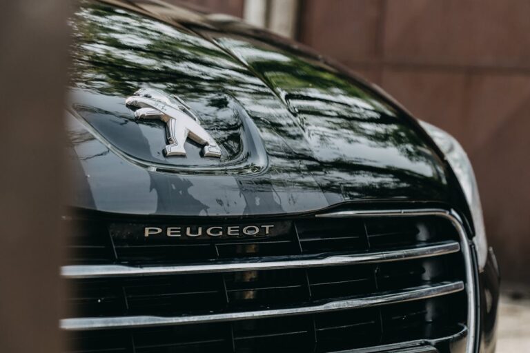 Moteur Peugeot a eviter