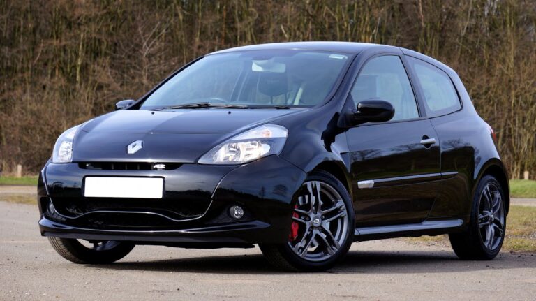 Voyant serv clio 2